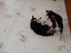 20211116_125751.jpg