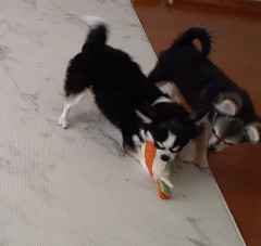 20211115_114810.jpg