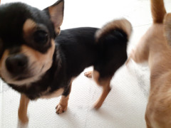 20211226_103831.jpg
