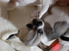 20220110_184349.jpg
