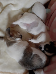 20220110_184340.jpg