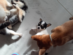 20220110_105718.jpg