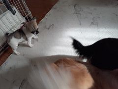 20220110_105714.jpg
