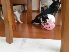 20220110_105221.jpg