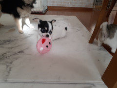 20220110_105202.jpg