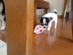 20220110_105234.jpg