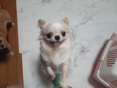 20220114_065930.jpg