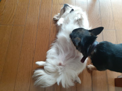 20220117_113903.jpg