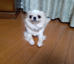 20220117_101103.jpg