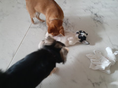 20220115_105201.jpg