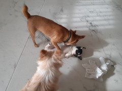 20220115_105156.jpg
