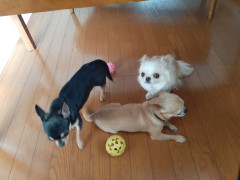 20220124_115637.jpg