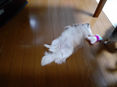20220119_053509.jpg