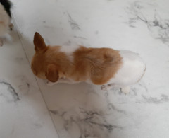 20220131_172029.jpg