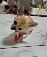 20220131_172057.jpg