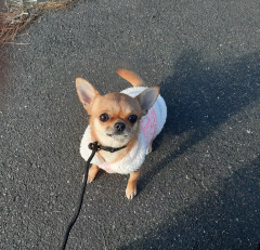20220130_082549.jpg