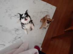 20220303_072515.jpg