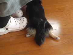 20220325_111158.jpg
