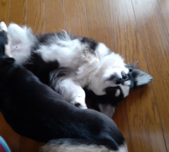20220408_124936.jpg