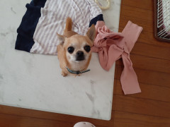 20220401_114155.jpg