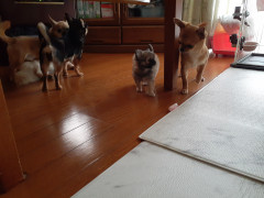 20220404_104532.jpg