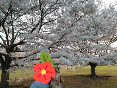 20220413_085439.jpg