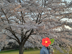 20220413_085348.jpg