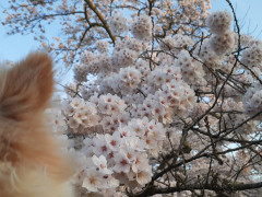 20220413_053252.jpg