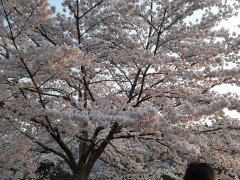 20220413_053226.jpg