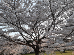 20220413_053114.jpg