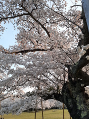 20220413_053027.jpg