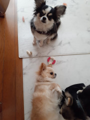 20220424_114615.jpg