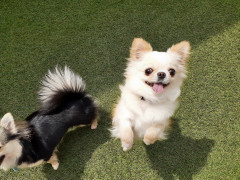 20220425_103137.jpg