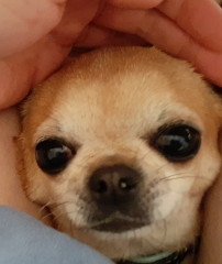 20220508_142313.jpg