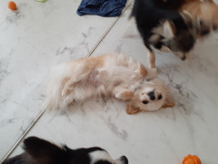 20220513_113934.jpg