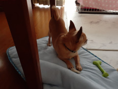 20220513_072146.jpg