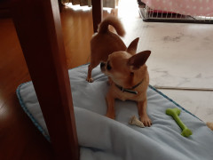 20220513_072144.jpg