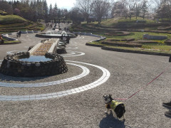 20220518_152339.jpg