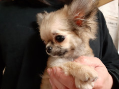 20220517_065022.jpg
