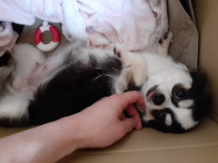 20220522_115941.jpg