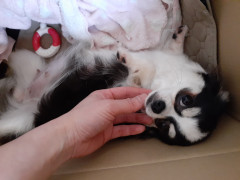 20220522_115936.jpg