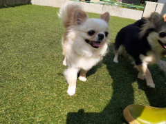 20220526_132531.jpg