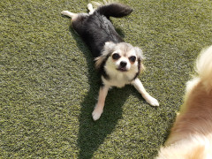 20220526_080250.jpg