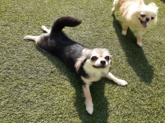 20220526_080249.jpg