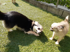20220526_080244.jpg