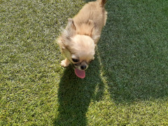 20220526_080212.jpg