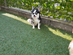 20220526_080204.jpg