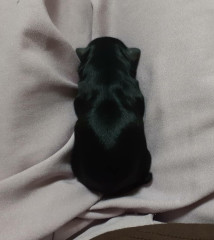 20220529_111512.jpg