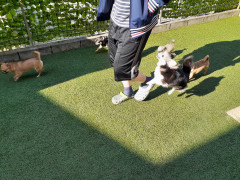 20220529_071040.jpg