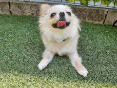 20220530_112919.jpg